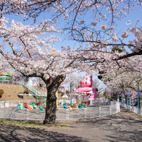 Spring Festival at Kamine Park 2026