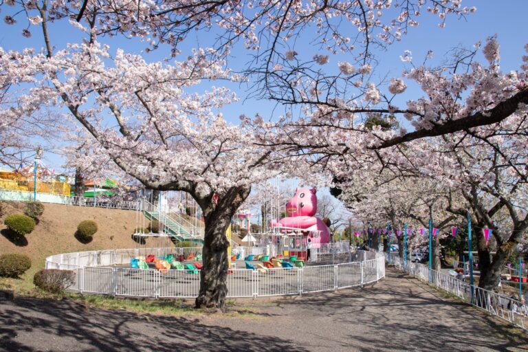 Spring Festival at Kamine Park 2026