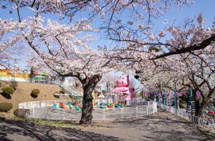 Spring Festival at Kamine Park 2026