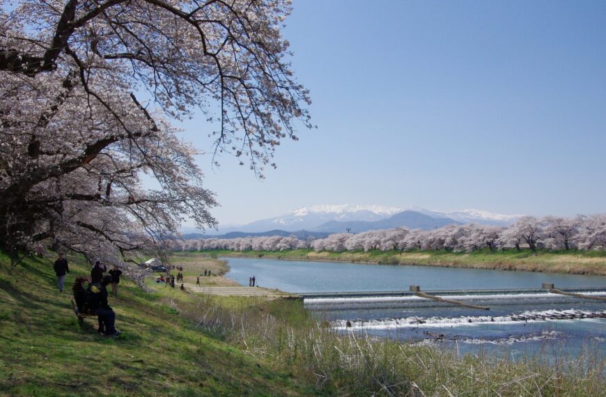 Hitome Senbonzakura Festival 2026