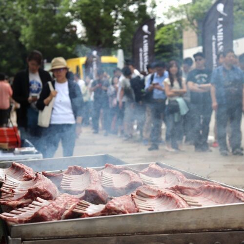 Lambassador Festival 2026