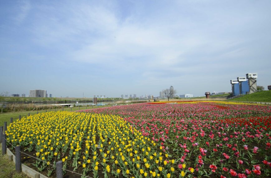 Spring Flower Festival 2026