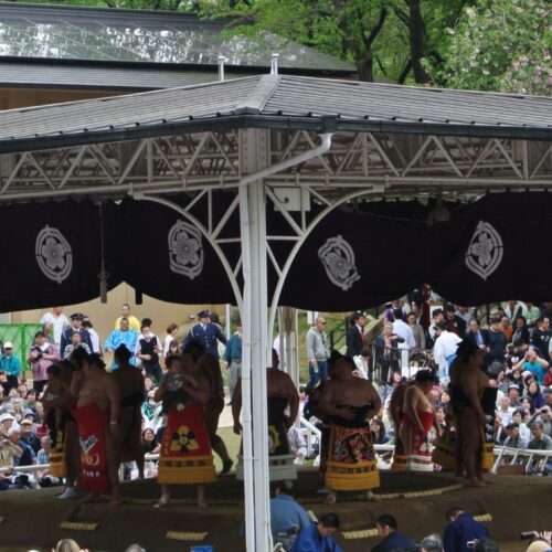 Sumo at Yasukuni Shrine 2026
