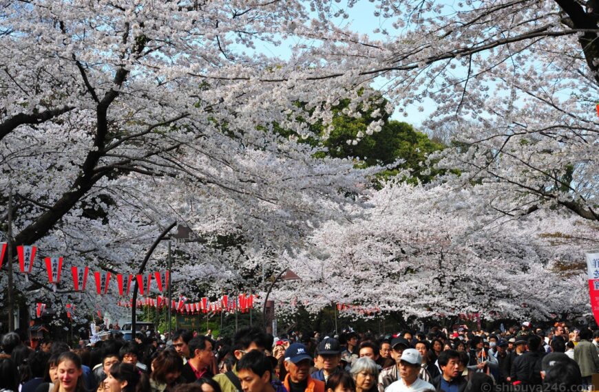 Ueno Cherry Blossom Festival 2026