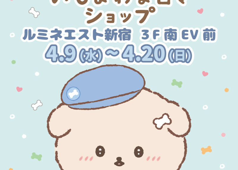 Ishiyowa chan pop up