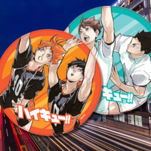 sendai haikyuu manhole 1