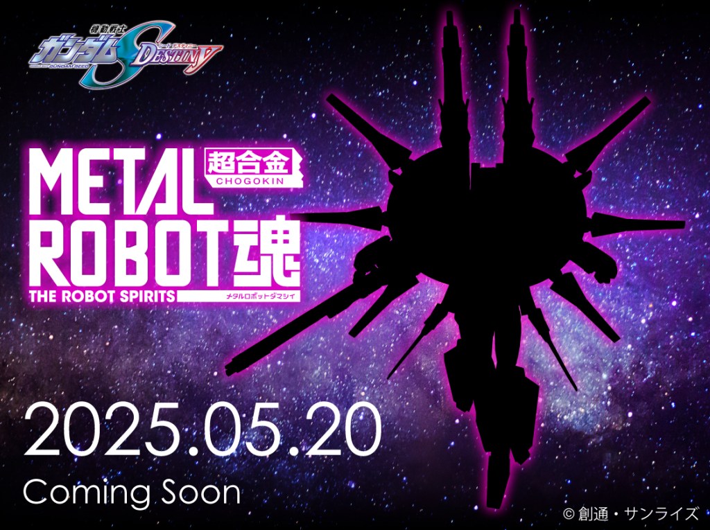 GUNDAM SEED DESTINY METAL ROBOT SPIRITS