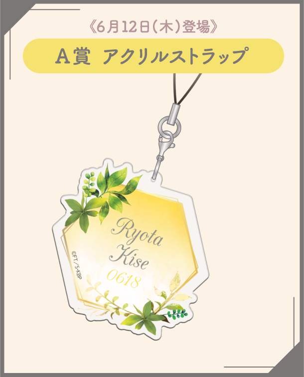 Kuroko's Kise Botanical collection 6