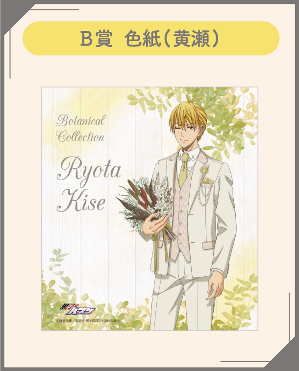 Kuroko's Kise Botanical collection 7
