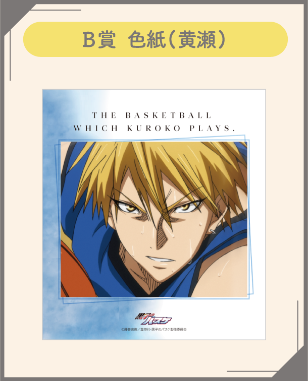 Kuroko's Kise Botanical collection 8