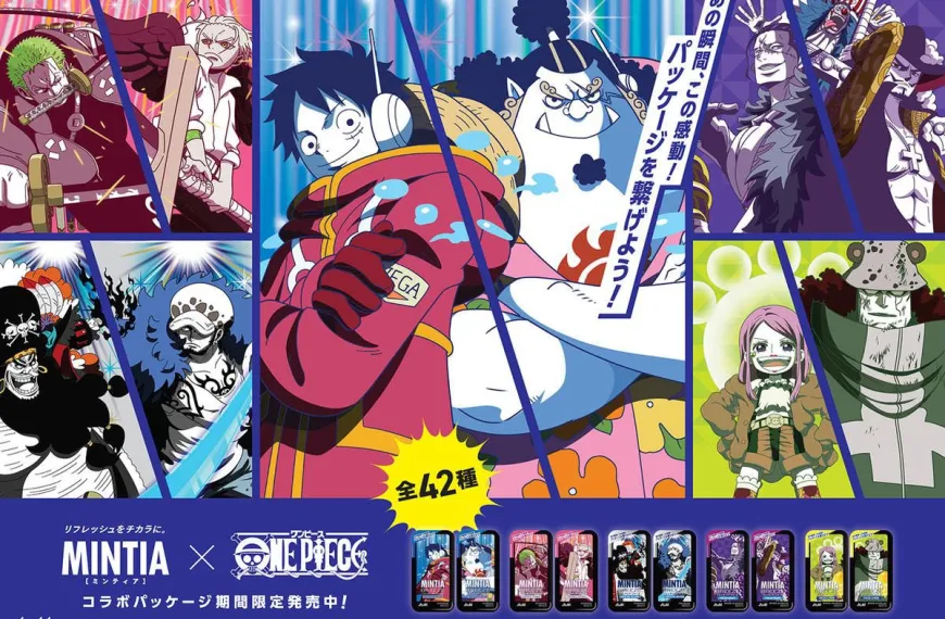 ONE PIECE x MINTIA