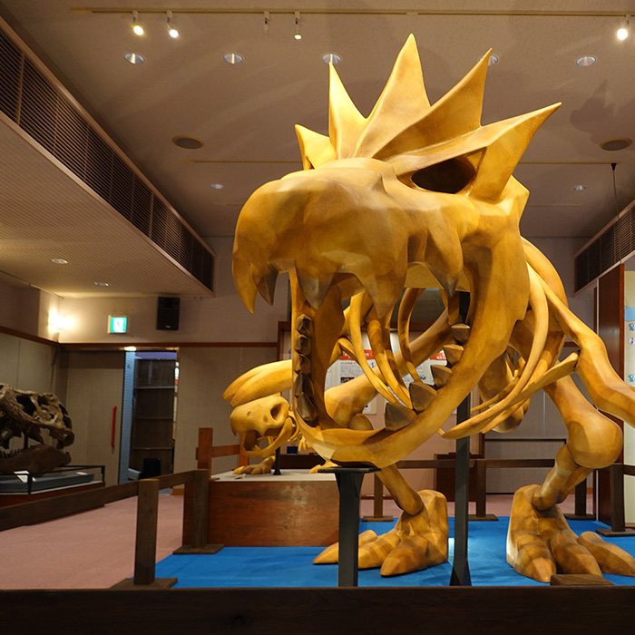 Pokémon Fossil Museum 1