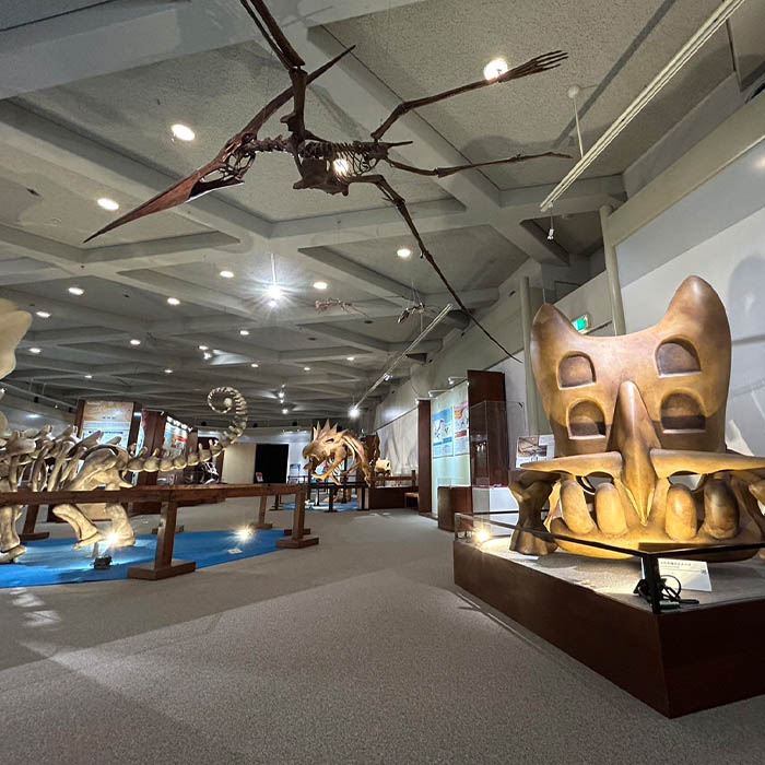 Pokémon Fossil Museum 2