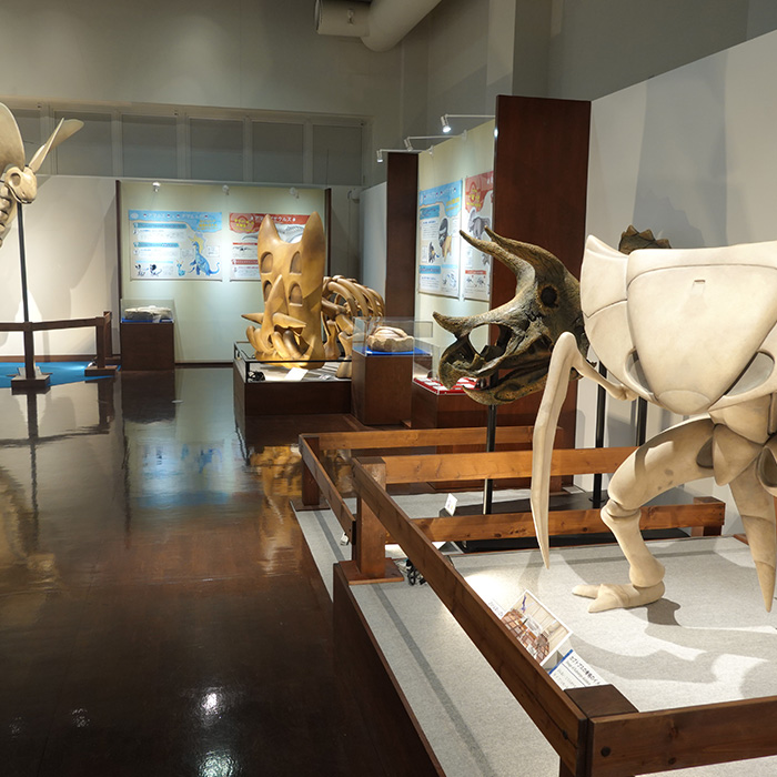 Pokémon Fossil Museum 3
