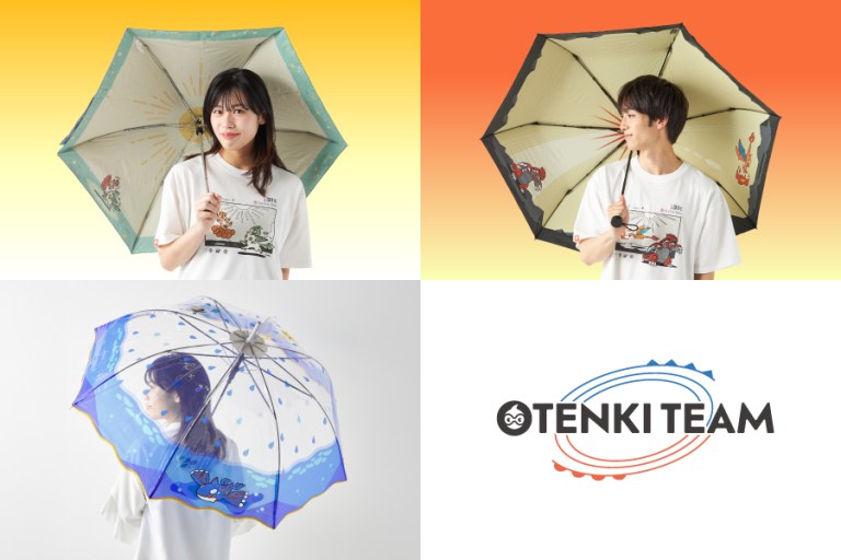 Pokemon OTENKI TEAM 2