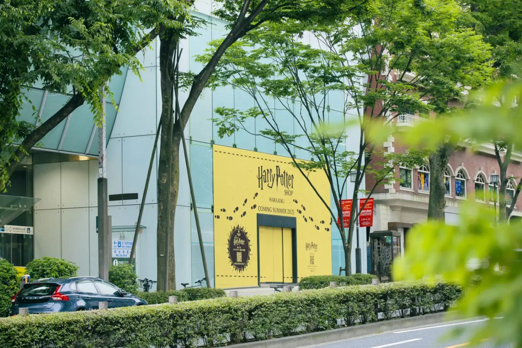 Harry Potter Harajuku 2