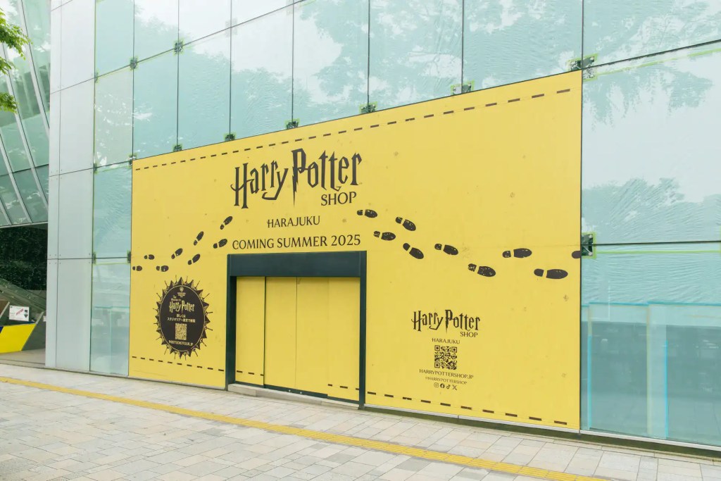 Harry Potter Harajuku 3