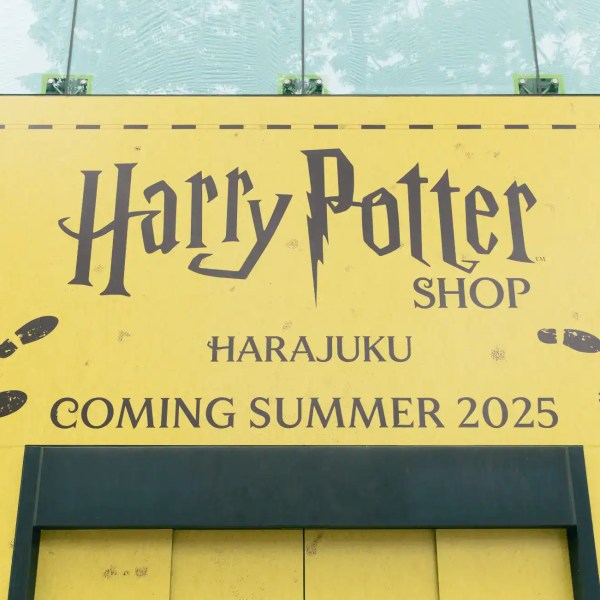 Harry Potter Harajuku 4
