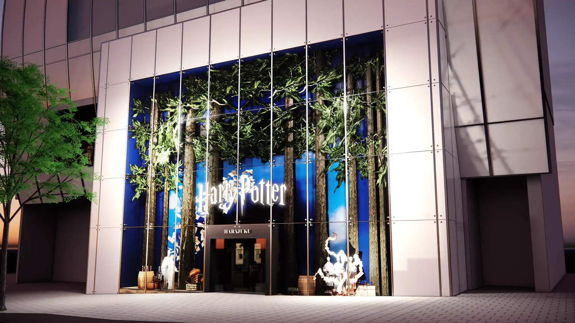 Harry Potter Harajuku