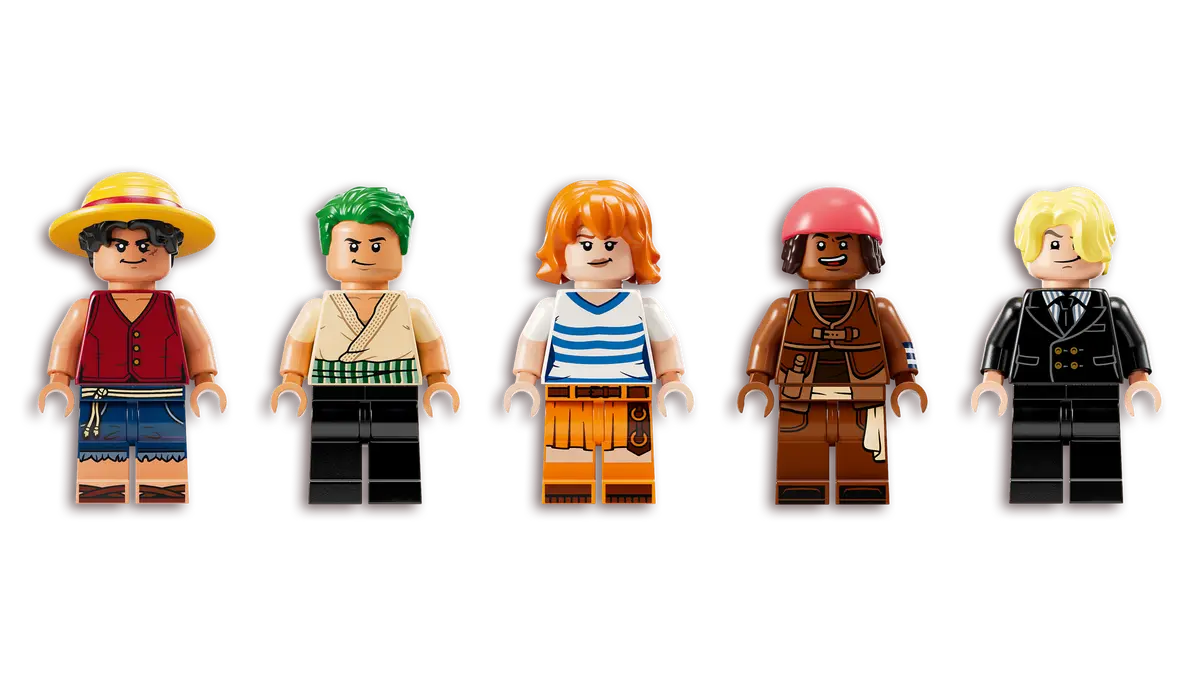 LEGO ONE PIECE 30