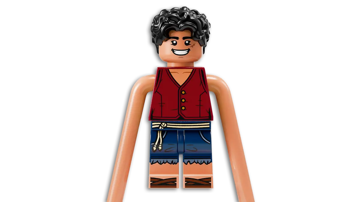 LEGO ONE PIECE 65