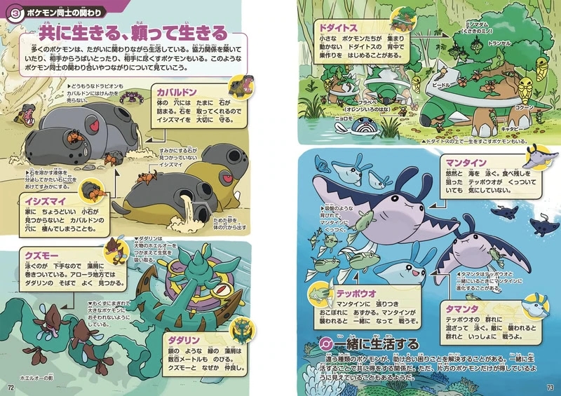 Pokemon Ecology Encyclopedia 4