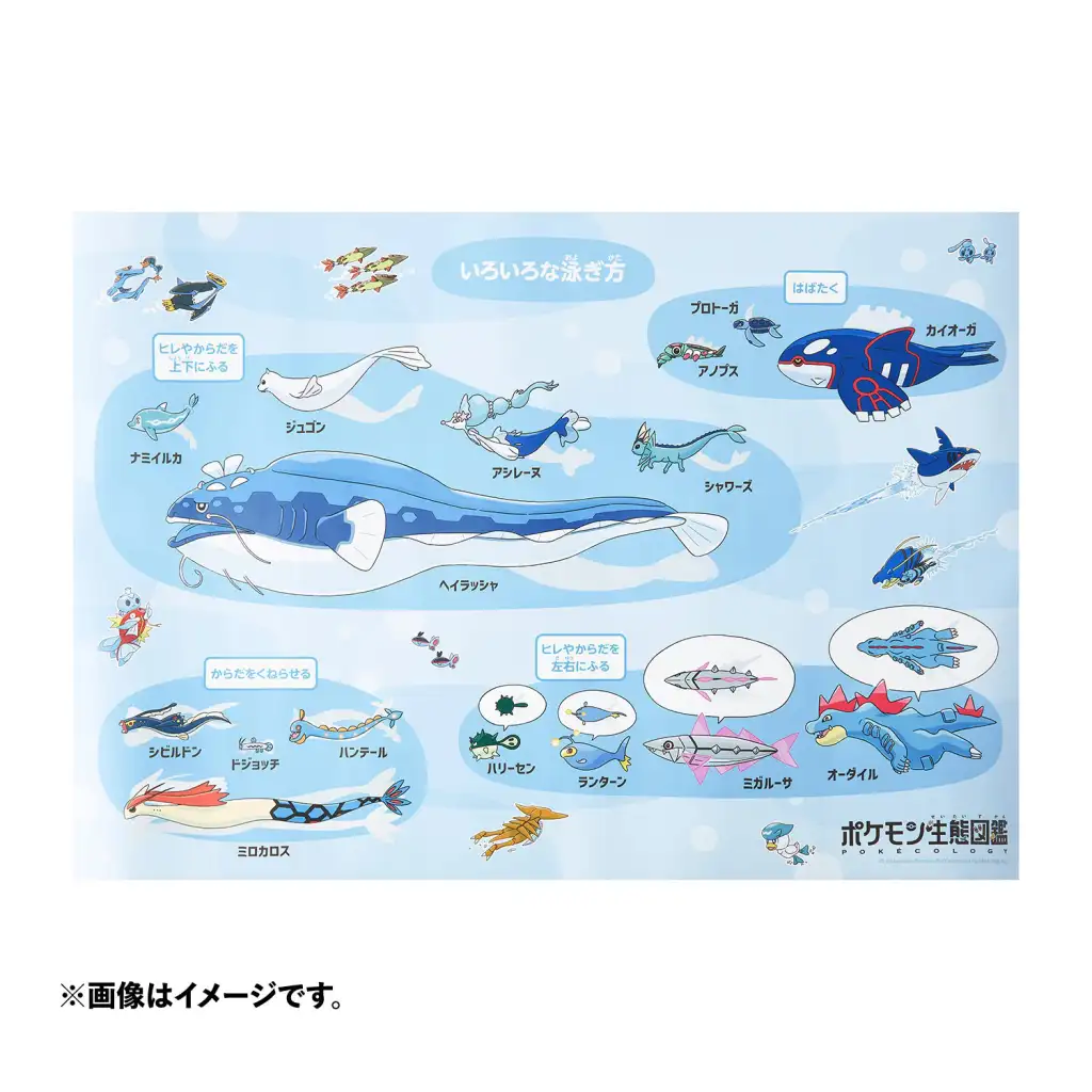 Pokemon Ecology Encyclopedia merch 4