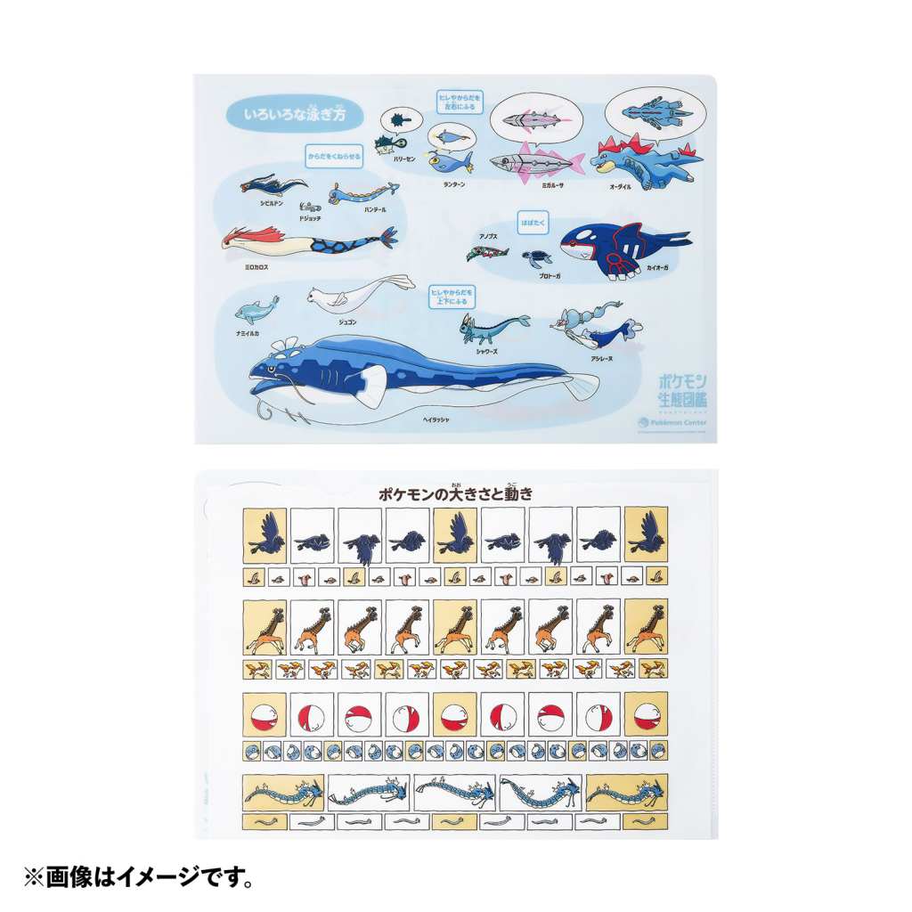 Pokemon Ecology Encyclopedia merch 9