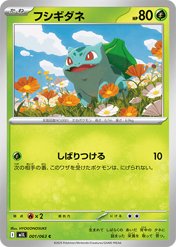 Pokemon Mega Evolutions Boosters 21