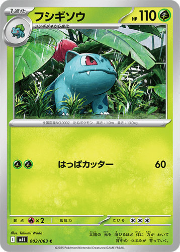 Pokemon Mega Evolutions Boosters 22