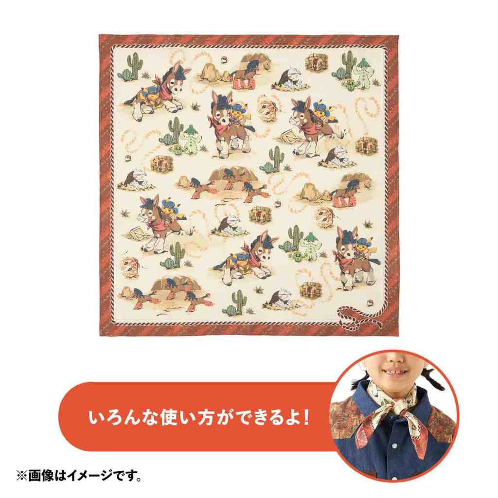 Pokemon Run Run Desert 13