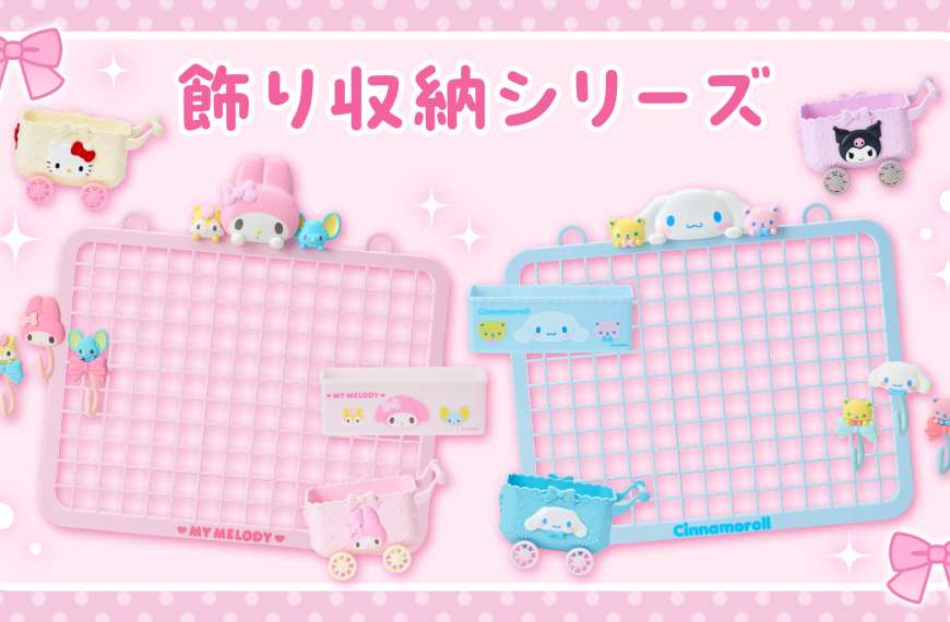 Sanrio storage