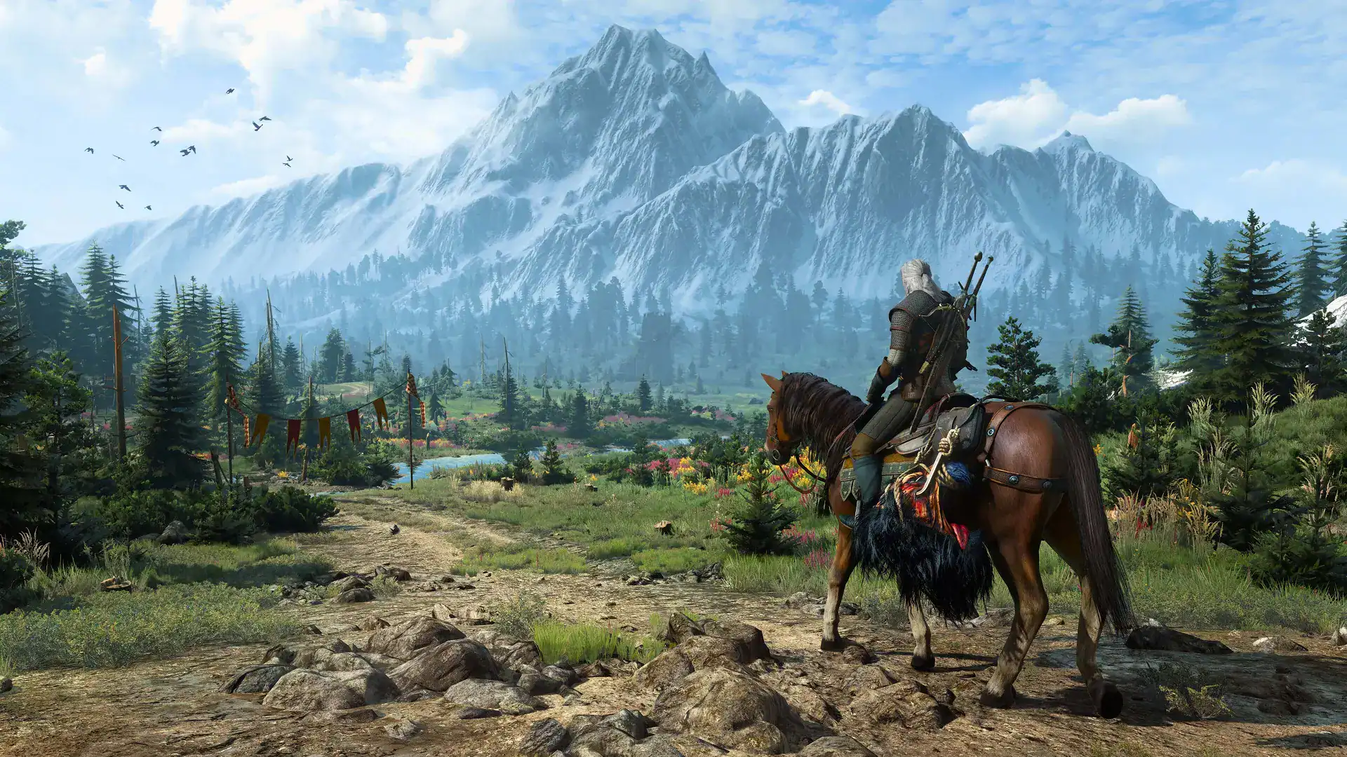 The witcher