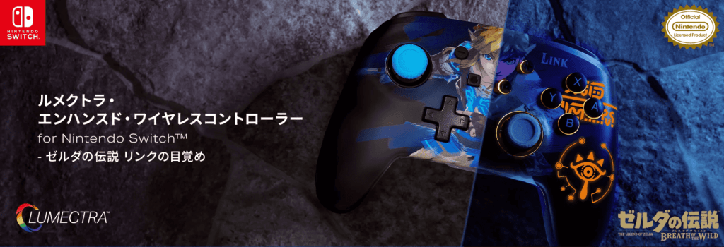 Zelda Breath of the Wild Controller