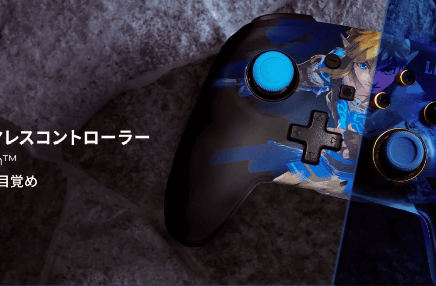 Zelda Breath of the Wild Controller