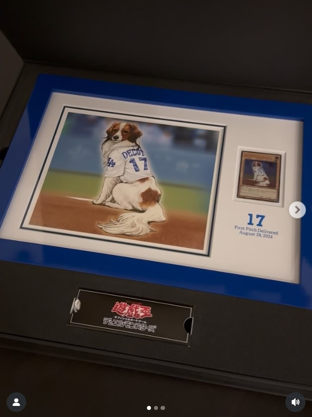 shohei ohtani dog yugioh 3