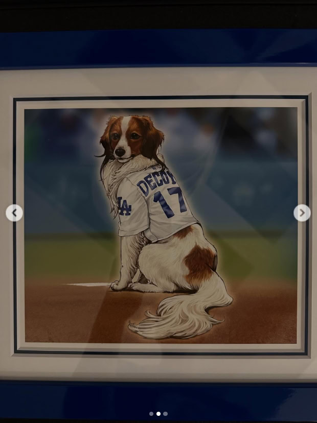 shohei ohtani dog yugioh 4