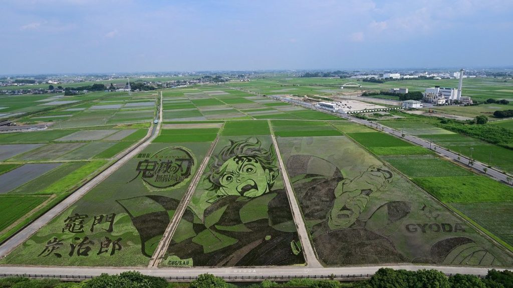 Demon Slayer Rice Paddy