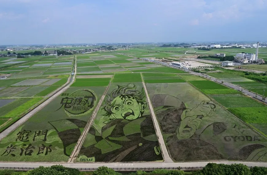 Demon Slayer Rice Paddy