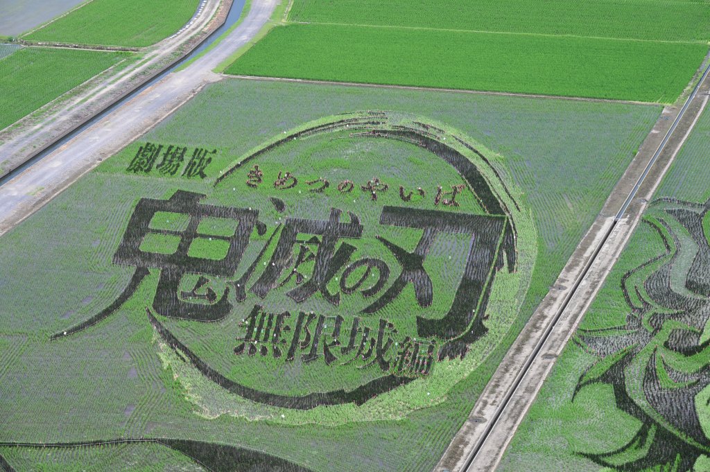 Demon Slayer Rice Paddy 3