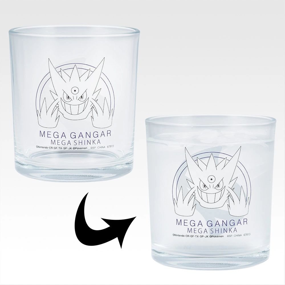 Pokémon Mega Evolution kuji 14