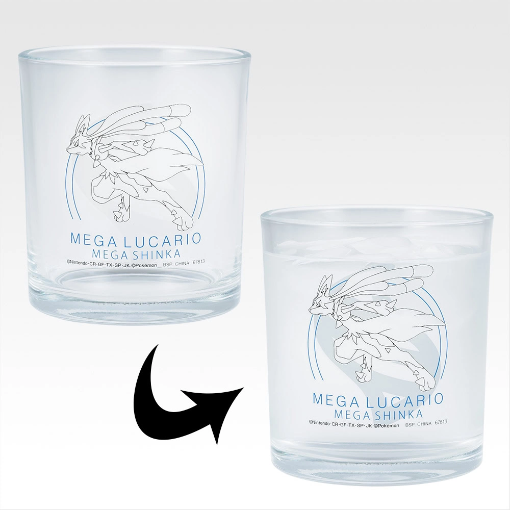 Pokémon Mega Evolution kuji 16