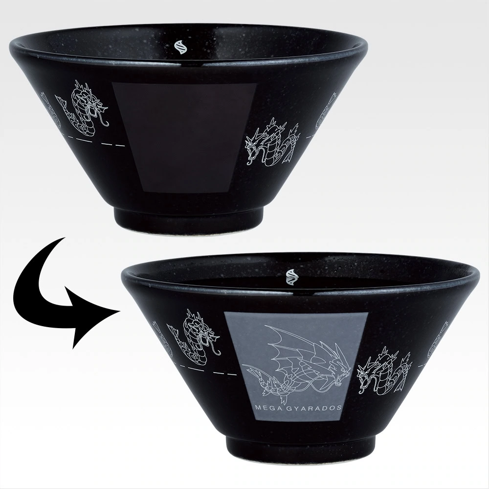 Pokémon Mega Evolution kuji 7