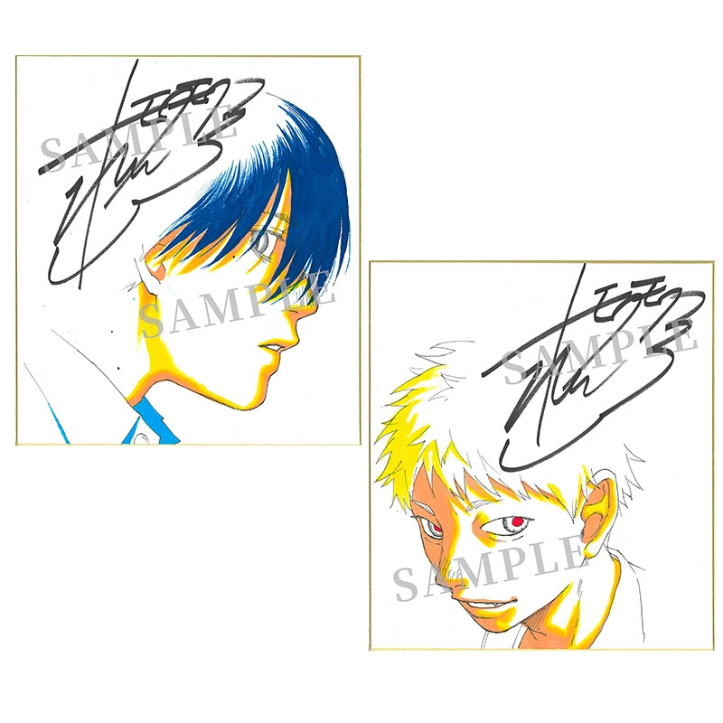 The summer Hikaru died 8