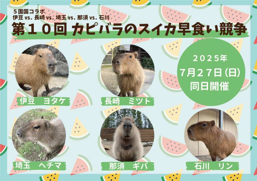 Japan to hold 10th annual Capybara watermelon eating contest