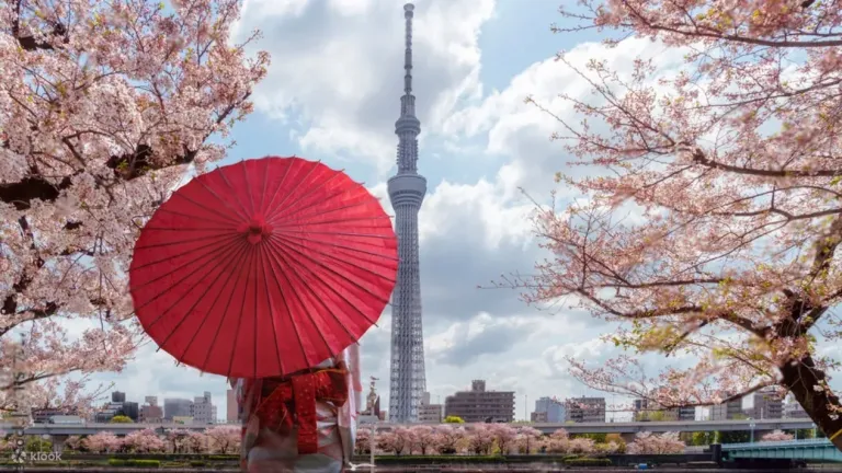 Discover Tokyo: Private Day Trip to Iconic Highlights