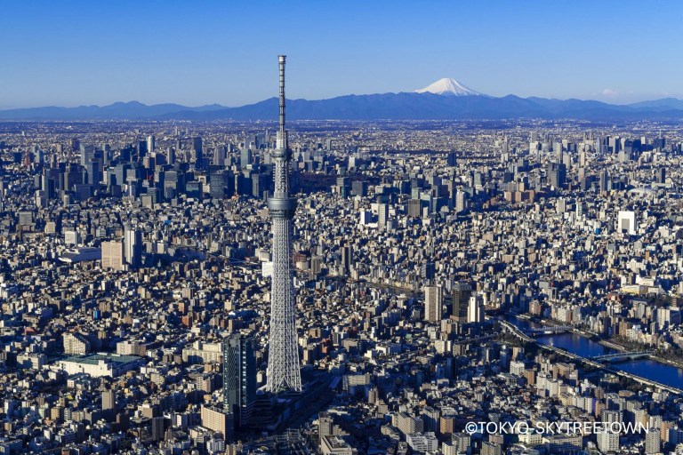 Explore Tokyo's Highlights: Meiji Shrine, Asakusa, Odaiba & SKYTREE® in a Day