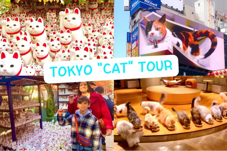 Discover Tokyo's Cat Paradise: Gotokuji Temple, Shinjuku Cat Cafés & 3D Cat Fun!