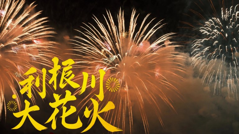 Ibaraki Tonegawa Fireworks Festival: Day Tour from Tokyo - Fireworks Only!