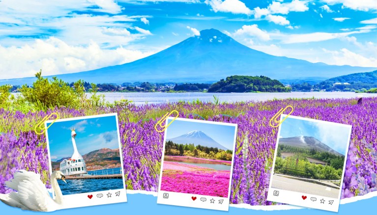 Mount Fuji Day Tour: Scenic Views, Lake Cruise, or Hot Springs from Tokyo